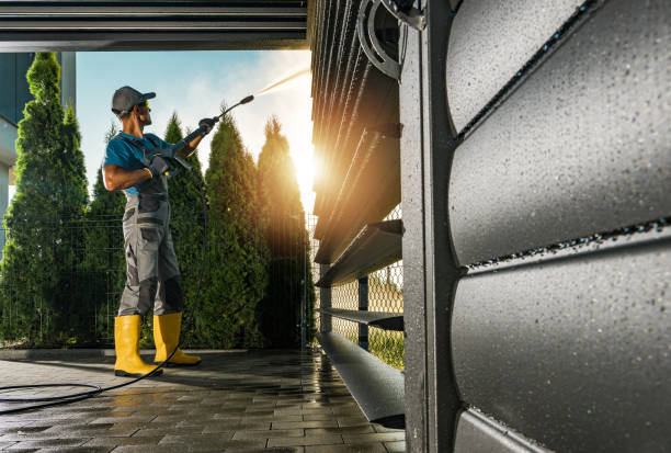 Best Graffiti Removal  in West Wyoming, PA