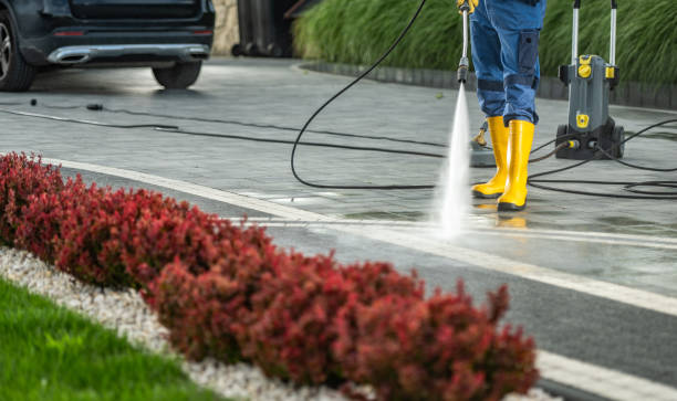 Trusted West Wyoming, PA Pressure Washing Services Experts